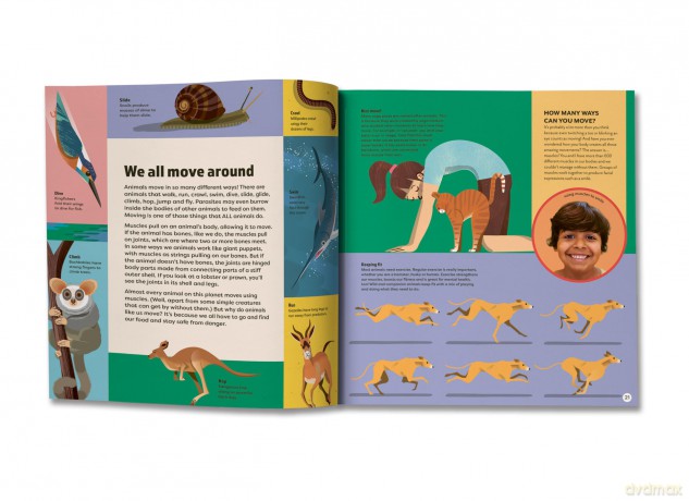 We are All Animals - Discover what YOU have in common with a cat, a bat, a jellyfish and 150 other animals! - Christopher Lloyd [KSIĄŻKA]