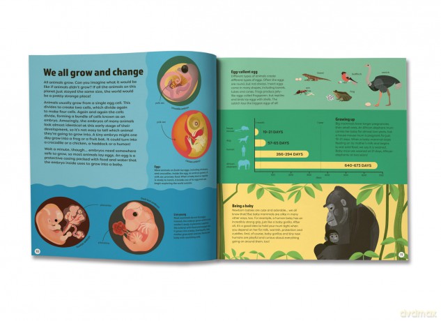 We are All Animals - Discover what YOU have in common with a cat, a bat, a jellyfish and 150 other animals! - Christopher Lloyd [KSIĄŻKA]