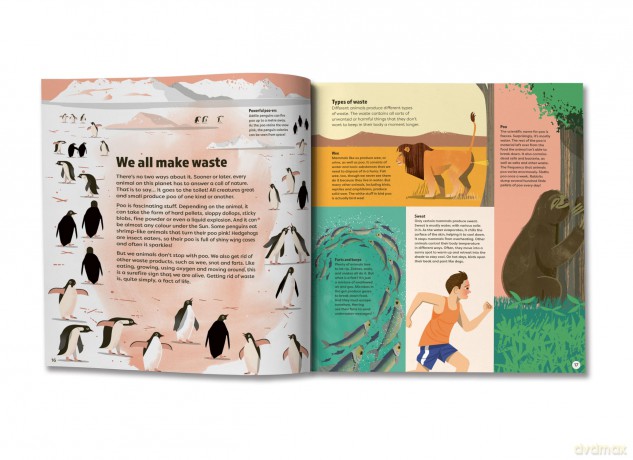 We are All Animals - Discover what YOU have in common with a cat, a bat, a jellyfish and 150 other animals! - Christopher Lloyd [KSIĄŻKA]
