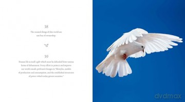 365 Inspirational Moments of Pope Francis: 7 - White Star [KSIĄŻKA]
