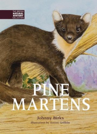 Pine Martens: 8 (The British Natural History Collection) - Johnny Birks [KSIĄŻKA]