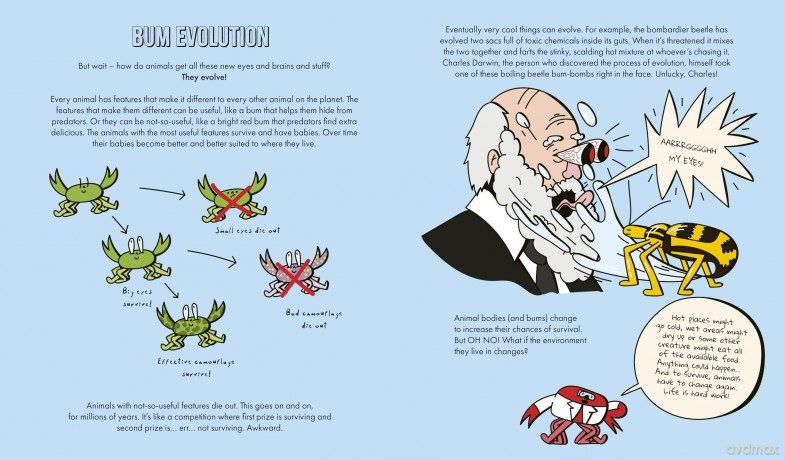 A Natural History of Bums: The story of evolution, from your bum to beyond - Crab Museum [KSIĄŻKA]