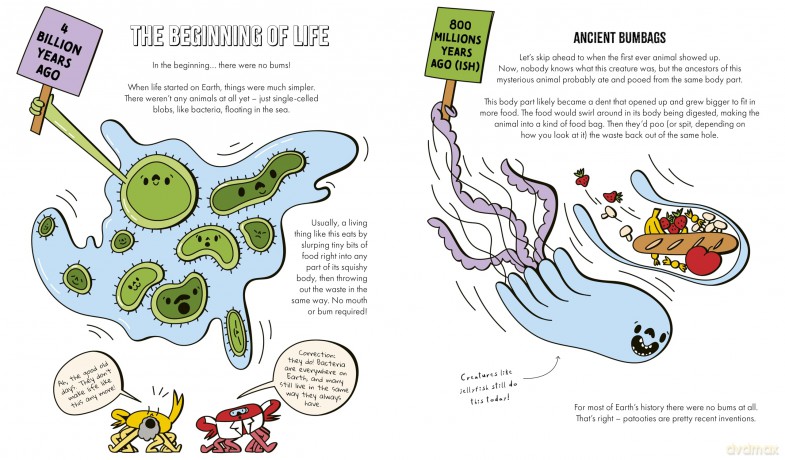 A Natural History of Bums: The story of evolution, from your bum to beyond - Crab Museum [KSIĄŻKA]