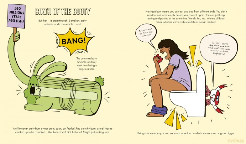 A Natural History of Bums: The story of evolution, from your bum to beyond - Crab Museum [KSIĄŻKA]