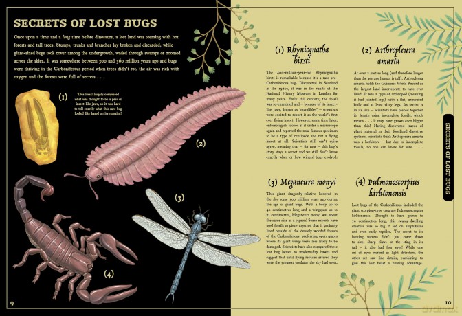 Secret Stories of Lost Beasts: A Field Guide to Uncover Earth's Ancient Animals - Saskia Gwinn [KSIĄŻKA]