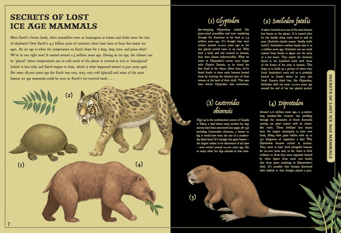 Secret Stories of Lost Beasts: A Field Guide to Uncover Earth's Ancient Animals - Saskia Gwinn [KSIĄŻKA]
