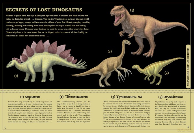 Secret Stories of Lost Beasts: A Field Guide to Uncover Earth's Ancient Animals - Saskia Gwinn [KSIĄŻKA]