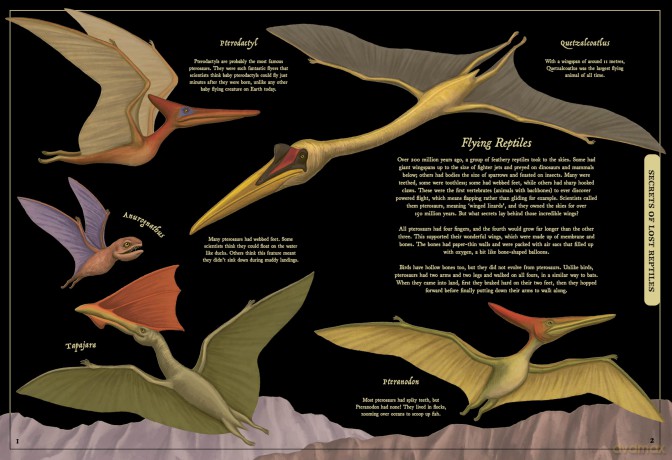 Secret Stories of Lost Beasts: A Field Guide to Uncover Earth's Ancient Animals - Saskia Gwinn [KSIĄŻKA]