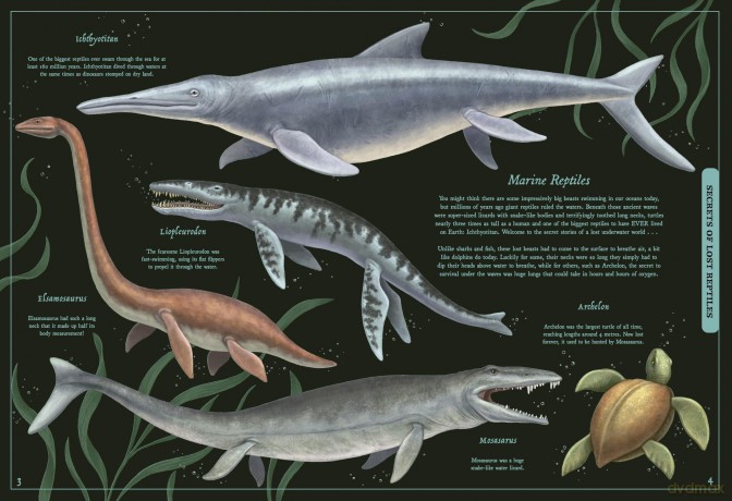 Secret Stories of Lost Beasts: A Field Guide to Uncover Earth's Ancient Animals - Saskia Gwinn [KSIĄŻKA]