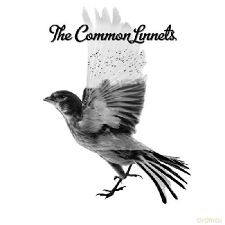 The Common Linnets: Common Linnets [CD]
