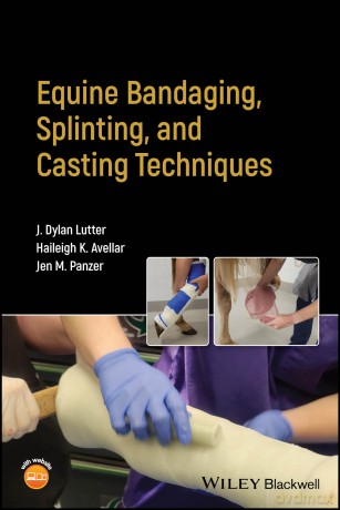 Equine Bandaging, Splinting, and Casting Techniques - J. Dylan Lutter [KSIĄŻKA]