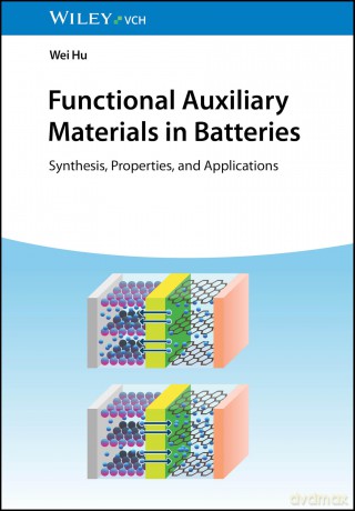 Functional Auxiliary Materials in Batteries: Synthesis, Properties, and Applications - Wei Hu [KSIĄŻKA]