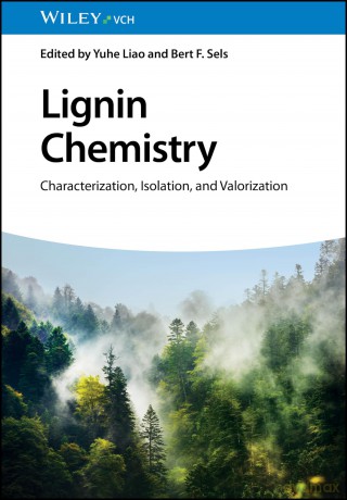Lignin Chemistry: Characterization, Isolation, and Valorization - Yuhe Liao [KSIĄŻKA]