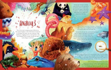 Kingdoms of Life (Spectacular Steam for Curious Readers (Sscr)) - Carly Allen-Fletcher [KSIĄŻKA]