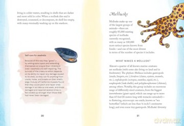 By the Sea: Your coastline companion, from beautiful beaches and marine miscellany, to stunning seashells, seaweed, and sealife (Hidden Nature series) - Susan Kelly [KSIĄŻKA]