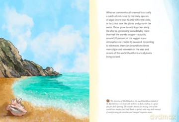 By the Sea: Your coastline companion, from beautiful beaches and marine miscellany, to stunning seashells, seaweed, and sealife (Hidden Nature series) - Susan Kelly [KSIĄŻKA]