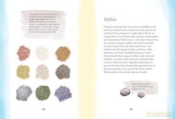 By the Sea: Your coastline companion, from beautiful beaches and marine miscellany, to stunning seashells, seaweed, and sealife (Hidden Nature series) - Susan Kelly [KSIĄŻKA]