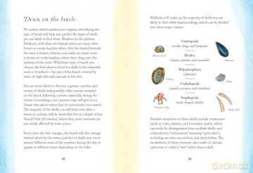 By the Sea: Your coastline companion, from beautiful beaches and marine miscellany, to stunning seashells, seaweed, and sealife (Hidden Nature series) - Susan Kelly [KSIĄŻKA]