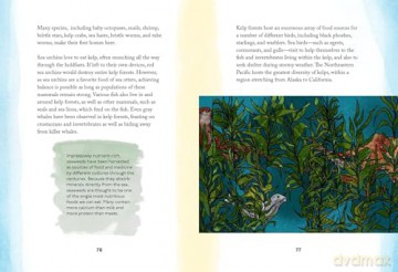 By the Sea: Your coastline companion, from beautiful beaches and marine miscellany, to stunning seashells, seaweed, and sealife (Hidden Nature series) - Susan Kelly [KSIĄŻKA]