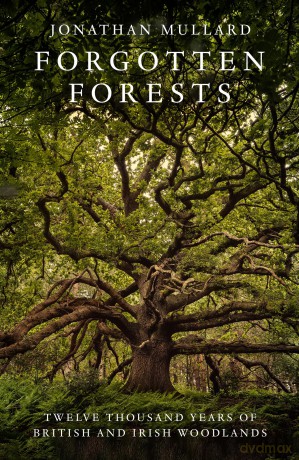 Forgotten Forests: A Comprehensive New History of Our Trees and Woodlands - Jonathan Mullard [KSIĄŻKA]