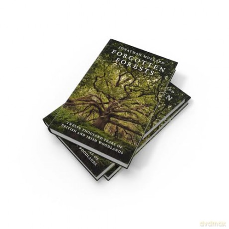 Forgotten Forests: A Comprehensive New History of Our Trees and Woodlands - Jonathan Mullard [KSIĄŻKA]
