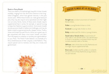 The Little Book of Chickens: An illustrated guide to the extraordinary lives of chickens - Jessica Ford [KSIĄŻKA]