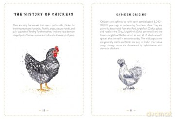 The Little Book of Chickens: An illustrated guide to the extraordinary lives of chickens - Jessica Ford [KSIĄŻKA]