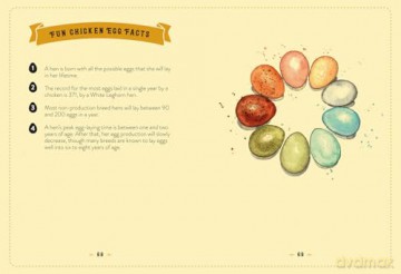 The Little Book of Chickens: An illustrated guide to the extraordinary lives of chickens - Jessica Ford [KSIĄŻKA]