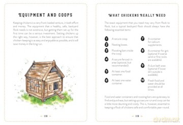 The Little Book of Chickens: An illustrated guide to the extraordinary lives of chickens - Jessica Ford [KSIĄŻKA]