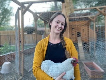 The Little Book of Chickens: An illustrated guide to the extraordinary lives of chickens - Jessica Ford [KSIĄŻKA]