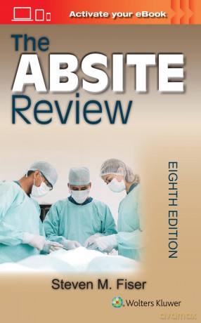 The ABSITE Review - STEVEN MARK FISER [KSIĄŻKA]