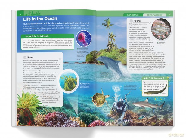Knowledge Encyclopedia - Our Planet Earth: Deluxe Edition (Knowledge Encyclopedia for Children) - Wonder House Books [KSIĄŻKA]