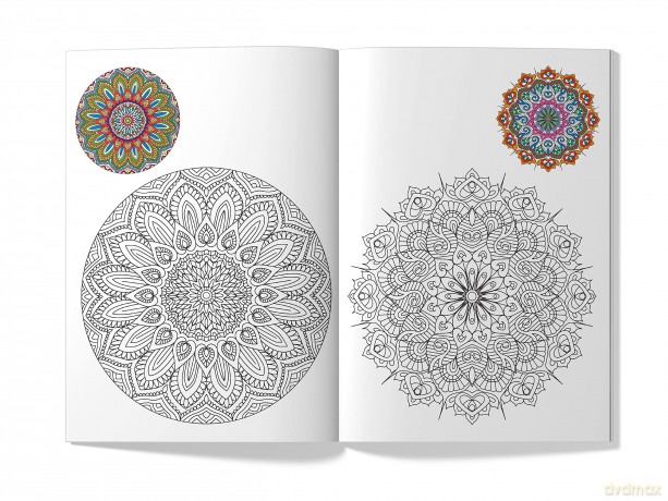 Little Artist Series Mandala - Wonder House Books Editorial [KSIĄŻKA]