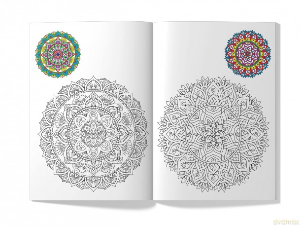 Little Artist Series Mandala - Wonder House Books Editorial [KSIĄŻKA]