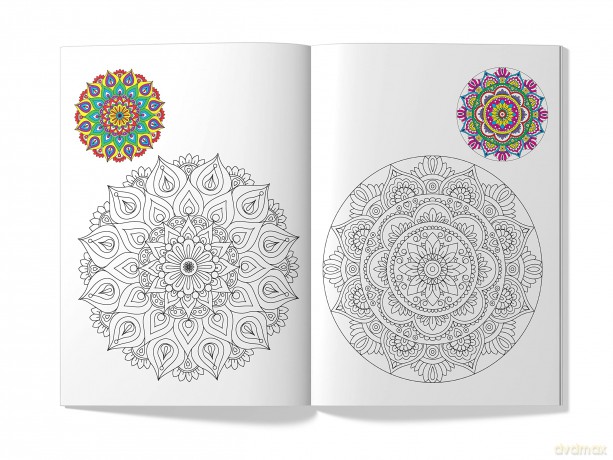 Little Artist Series Mandala - Wonder House Books Editorial [KSIĄŻKA]