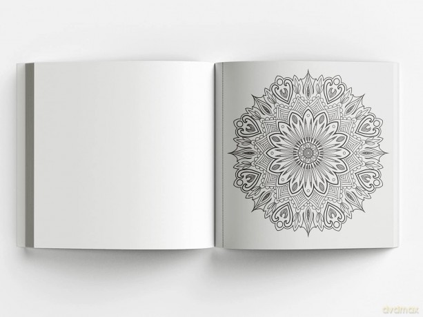 Mandala Art: With tear out sheets - Wonder House Books Editorial [KSIĄŻKA]