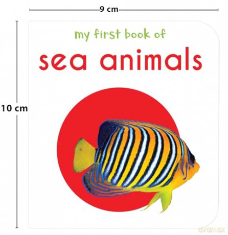 My First Library: Boxset of 10 Board Books for Kids: Boxset for Kids (Pack-1) (Early Learning) - Wonder House Books Editorial [KSIĄŻKA]
