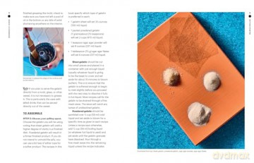 Jiggle!: A Cookbook: 50 Recipes for Sweet, Savory, and Sometimes Boozy Modern Gelatins - Judith Choate [KSIĄŻKA]