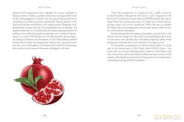 Mythic Plants: Potions and Poisons from the Gardens of the Gods - Ellen Zachos [KSIĄŻKA]