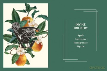 Mythic Plants: Potions and Poisons from the Gardens of the Gods - Ellen Zachos [KSIĄŻKA]