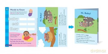 Brain Quest Phonics Workbook: Grade 1: 3 (Brain Quest Phonics Workbooks) [KSIĄŻKA]