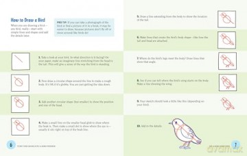 Turn This Book Into a Bird Feeder!: And 19 Other Activities to Explore the Amazing World of Birds - Lynn Brunelle [KSIĄŻKA]