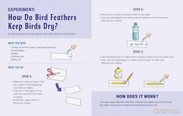 Turn This Book Into a Bird Feeder!: And 19 Other Activities to Explore the Amazing World of Birds - Lynn Brunelle [KSIĄŻKA]