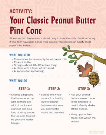 Turn This Book Into a Bird Feeder!: And 19 Other Activities to Explore the Amazing World of Birds - Lynn Brunelle [KSIĄŻKA]
