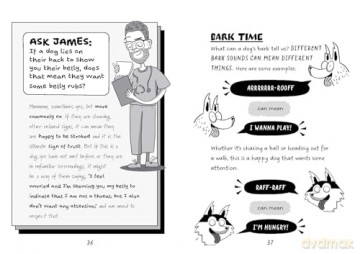 How to Talk to Your Pet: And Other Animals - Dr James Greenwood [KSIĄŻKA]