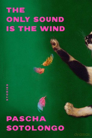 The Only Sound Is the Wind: Stories - Pascha Sotolongo [KSIĄŻKA]