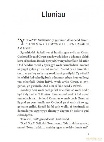 Celwydd Noeth - Heiddwen Tomos [KSIĄŻKA]