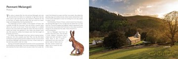 Mythical Wales - Myths, legends and folk tales in the land of dragons - Sander Blom [KSIĄŻKA]