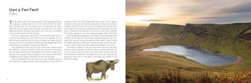 Mythical Wales - Myths, legends and folk tales in the land of dragons - Sander Blom [KSIĄŻKA]
