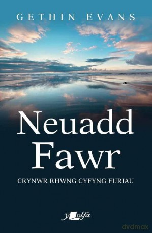 Neuadd Fawr: Crynwr rhwng cyfyng furiau - Gethin Evans [KSIĄŻKA]